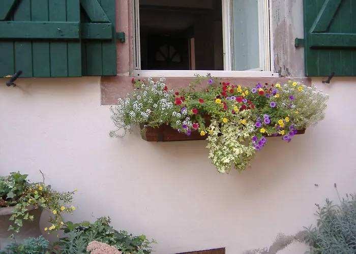 Petit En Alsace