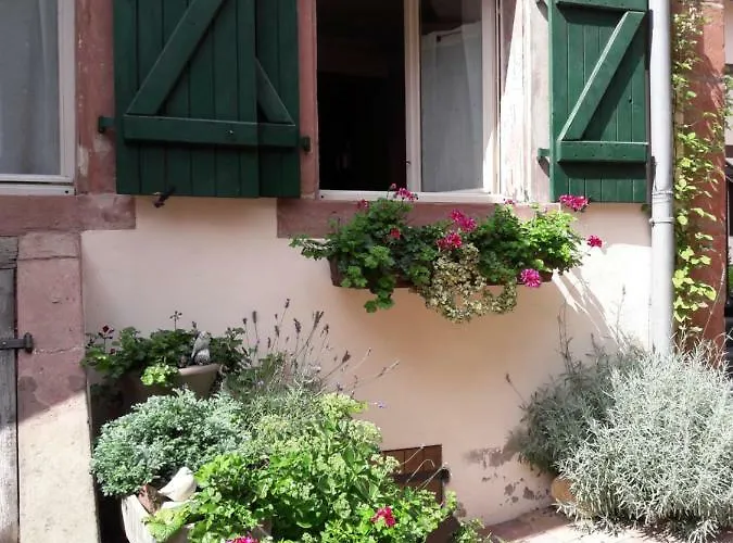 Petit En Alsace Apartment